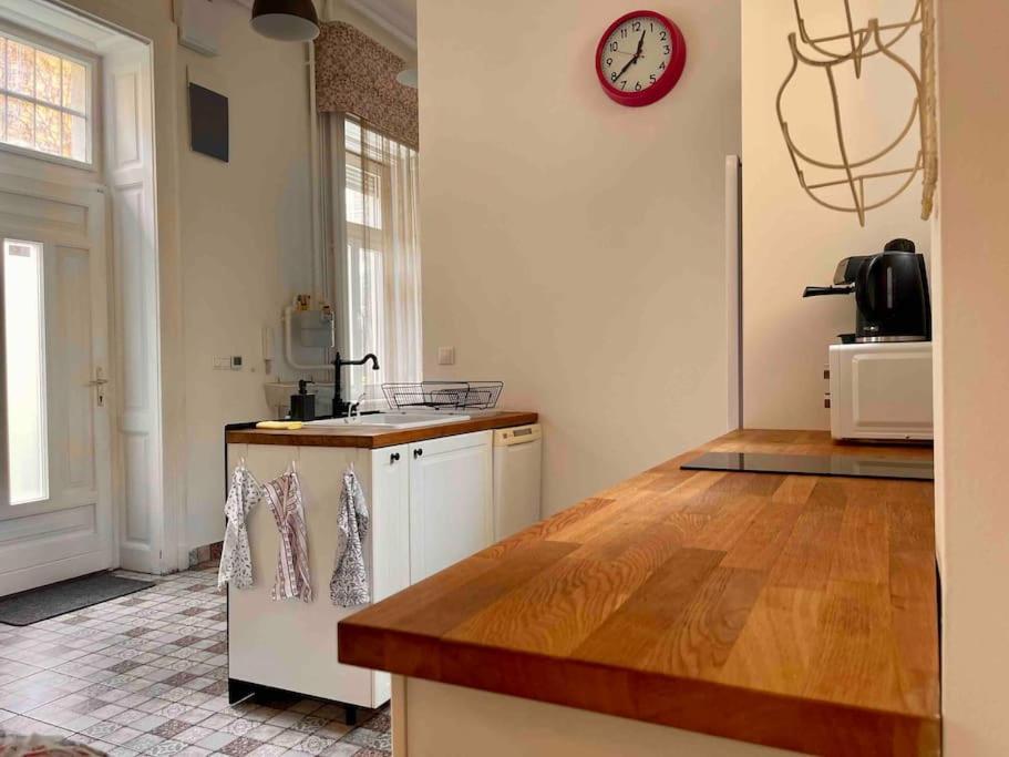 Knezits Spacious Ac Terrace Free Parking Budapeşte Dış mekan fotoğraf