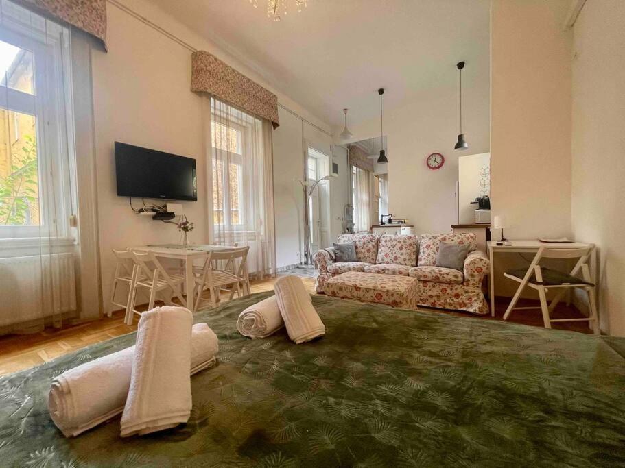 Knezits Spacious Ac Terrace Free Parking Budapeşte Dış mekan fotoğraf